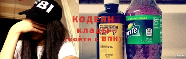дурь Бородино