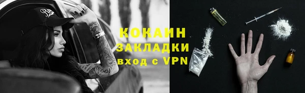 дурь Бородино