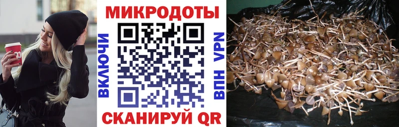 Купить закладки  Узловая  Галлюциногенные грибы Psilocybe 